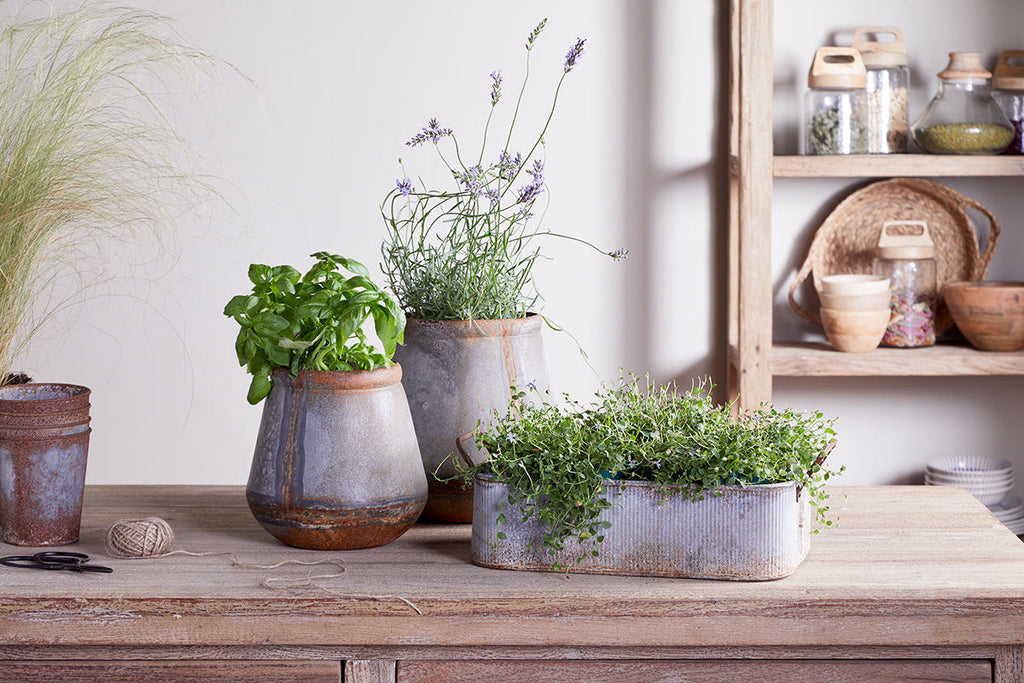 Jardinière d'extérieur Mamba - Zinc vieilli