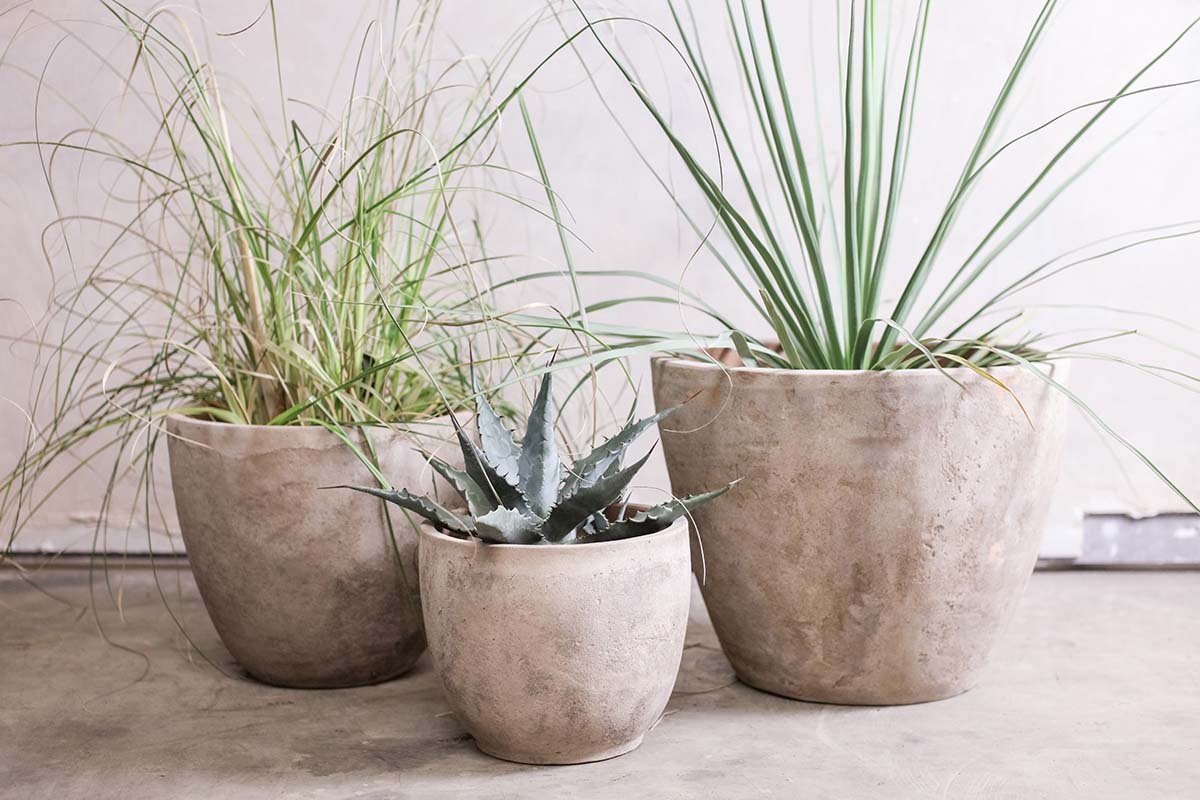 Jardinière en argile Affiti - Grande