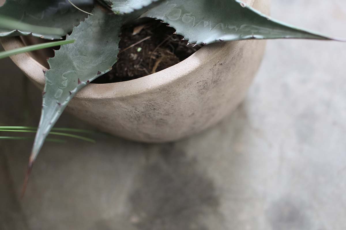 Jardinière en argile Affiti - Grande